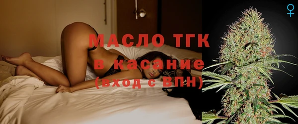 сатива Кулебаки