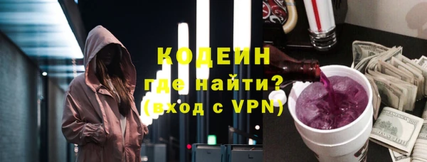 сатива Кулебаки
