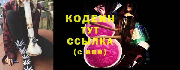 сатива Кулебаки