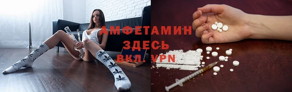 сатива Кулебаки
