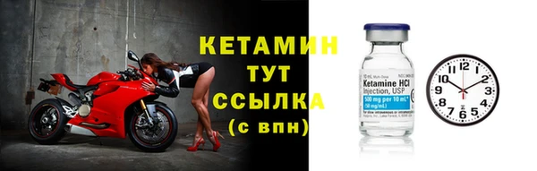 сатива Кулебаки