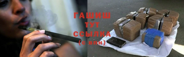 сатива Кулебаки