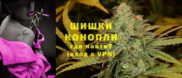 сатива Кулебаки