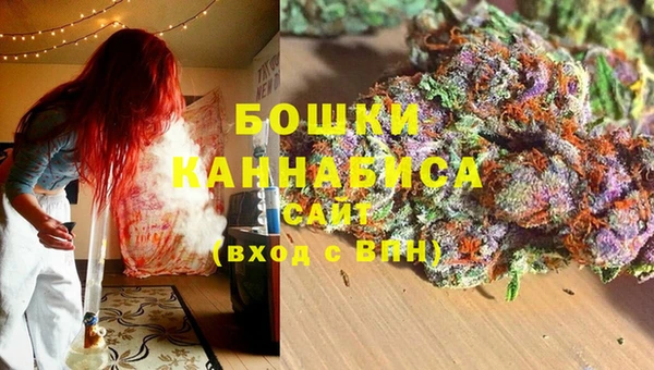 сатива Кулебаки
