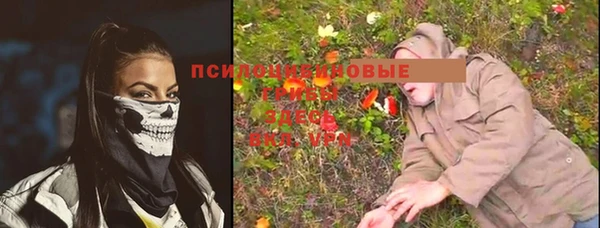 mdma Кукмор